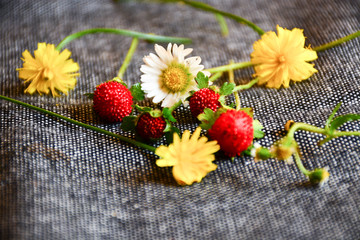 Red wild strawberries among small beautiful wildflowers on a gray neutral background. The gray background and delicate flowers very strongly emphasize the red fruits of the berries.