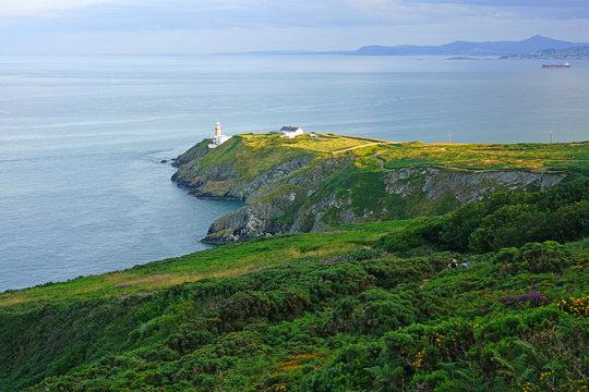 View of green heather fields, the Baily Lighthouse and the Irish Sea seen from the Howth Summit in Howth, near Dublin, Ireland