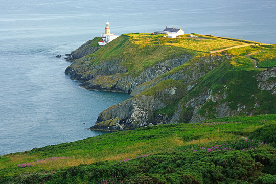 View of green heather fields, the Baily Lighthouse and the Irish Sea seen from the Howth Summit in Howth, near Dublin, Ireland