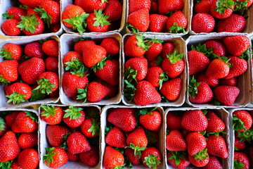 Green baskets of juicy sweet red strawberries at the farmers market