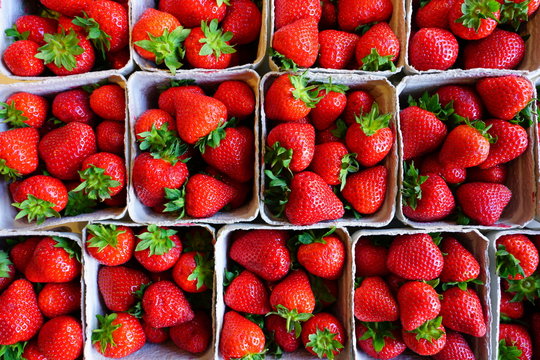 Green baskets of juicy sweet red strawberries at the farmers market