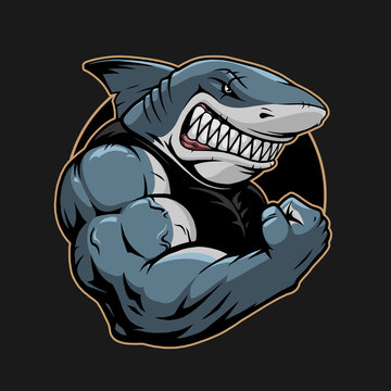 Angry shark logo template illustration