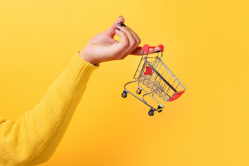 Buying things at market shops concept. Woman hand holding small tiny shopping cart trolley over...