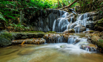 waterfall in the forest