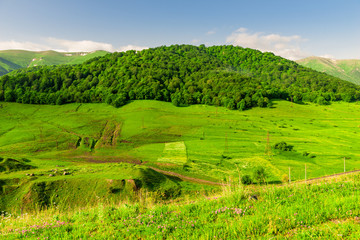 Green meadows and forests in the mountains of Armenia in spring