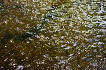 Transparent water surface of a mountain stream with a rocky bottom