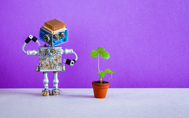 Surprised robot gardener looks at a sprout of strawberry grown in a flower pot. Violet purple background, copy space