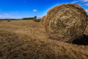Strohballen auf dem Stoppelfeld - im Allgäu