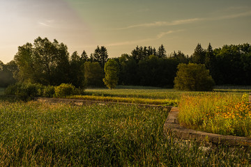 beautiful morning at Rogers Reservoir Conservation Area East Gwillimbury Ontario Canada with grasses, trees, fog, bridge, and river