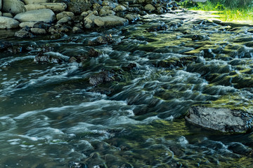 beautiful morning at Rogers Reservoir Conservation Area East Gwillimbury Ontario Canada with grasses, trees, fog, bridge, and river