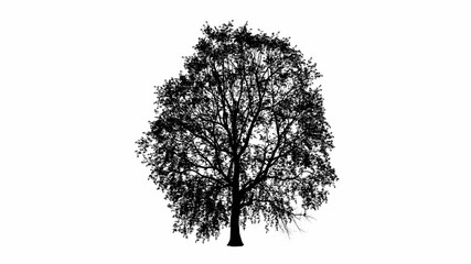 Black tree silhouette illustration in white background
