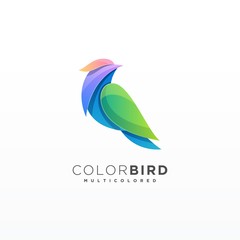 Bird Colorful Design Illustration Vector Template