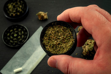 Preparing a joint and drug paraphernalia concept theme with man using a herb girder to grind a cannabis bud and roll marijuana joints, next to rolling paper and weed buds isolated on dark background