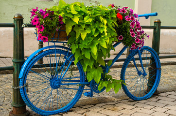 decorative flower bed in the form of a blue-colored bicycle