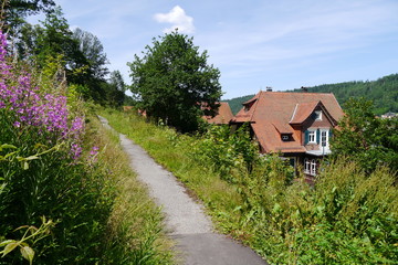 Fototapeta na wymiar Wanderweg mit Blick auf Hausdach in Calw