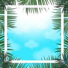 Palm leaves decorated on the soft pastel blue color background