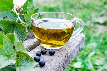 A cup of tea with black currant leaves. Tea with currants on a wooden table in the open air.