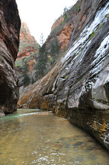 Zion canyon nationalpark in utah americas south west
