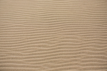 Fototapeta na wymiar Sand texture, sand background with waves