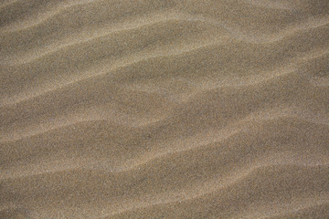 Fototapeta na wymiar Sand texture, sand background with waves