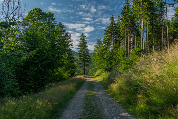 Obraz premium View for forests in mountains near Javorovy hill in Moravia
