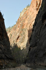 Fototapeta premium Zion canyon nationalpark in utah americas south west