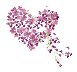 Heart of watercolor flowers of lobelia and wild carnation.