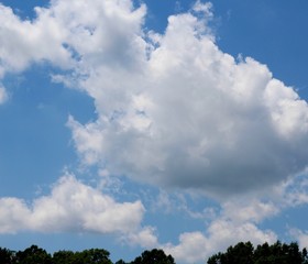 The large white clouds in the bright blue sky.