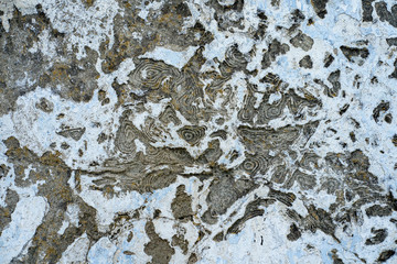 Background image. Texture of old concrete wall