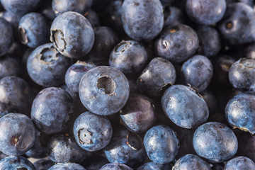 Many red and white berry.Good tasting blueberries with full of healthy vitamins..A good vegan meal. Set of tasty blueberries on white background, closeup.