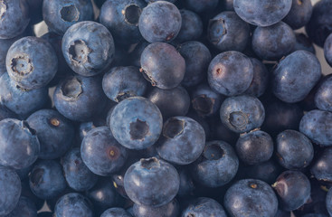 Many red and white berry.Good tasting blueberries with full of healthy vitamins..A good vegan meal. Set of tasty blueberries on white background, closeup.