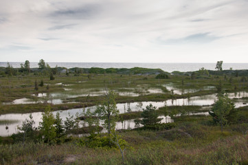 Fototapeta na wymiar view of the wetlands