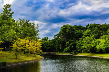 Beautiful abstract texture lake trees plants and forest landscape in the public nature green city parks and gardens