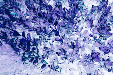 Beautiful abstract texture color white blue and purple leaves pattern background and wallpaper in the gardens