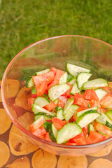 Preparation of salad of fresh vegetables and herbs