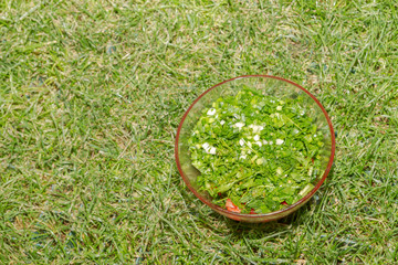 Prepared salad of fresh vegetables and herbs in a glass bowl