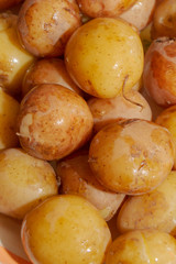 Young boiled potatoes in uniform lying on a plate