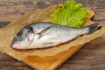 Raw Dorada fish  for cooking