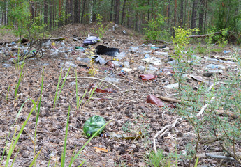 garbage pile of plastic bottles lying among the green trees in the summer in the woods