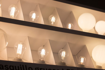 LED light bulbs store display