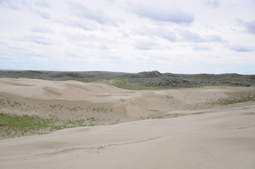 Great Sandhills in southwest Saskatchewan, Canada 
