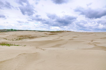 Fototapeta na wymiar Great Sandhills in southwest Saskatchewan, Canada 