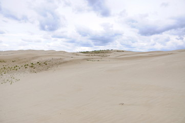 Fototapeta na wymiar Great Sandhills in southwest Saskatchewan, Canada 