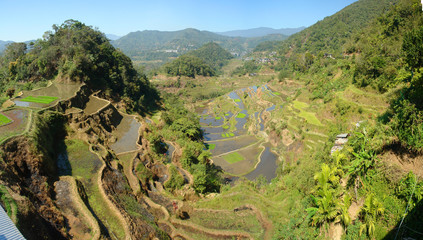 Banaue -  a town  in the north of the island of Luzon, in the Philippines.