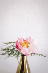 Singe pink flower