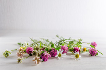 wildflowers on a white background with copy space