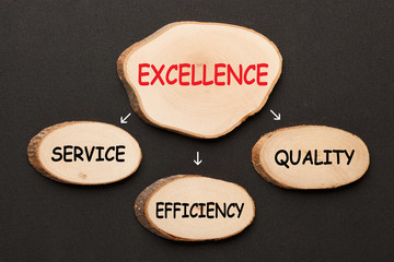 Excellence Diagram Concept