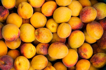 Background of fresh ripe organic apricots
