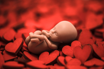 Human embryo on many red hearts