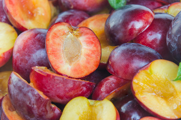 halves of ripe plum fruit